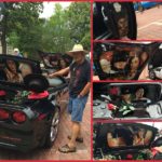 black corvette with painted pictures.