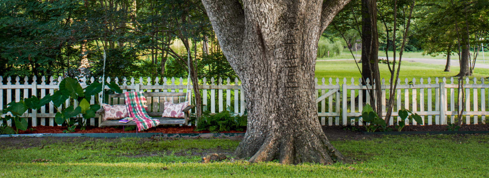 tree swing on tree on green grass