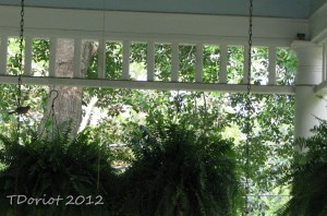 The Finch pair on the front porch. One on the porch swing chain and the other on the ledge under the eve.