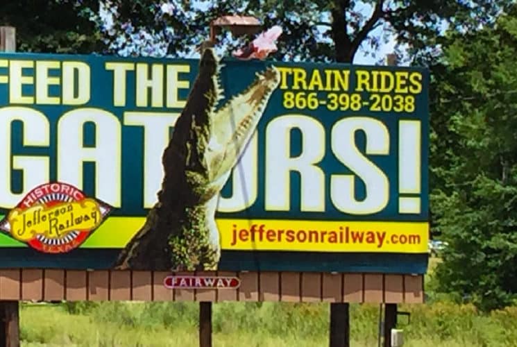 alligator on a sign