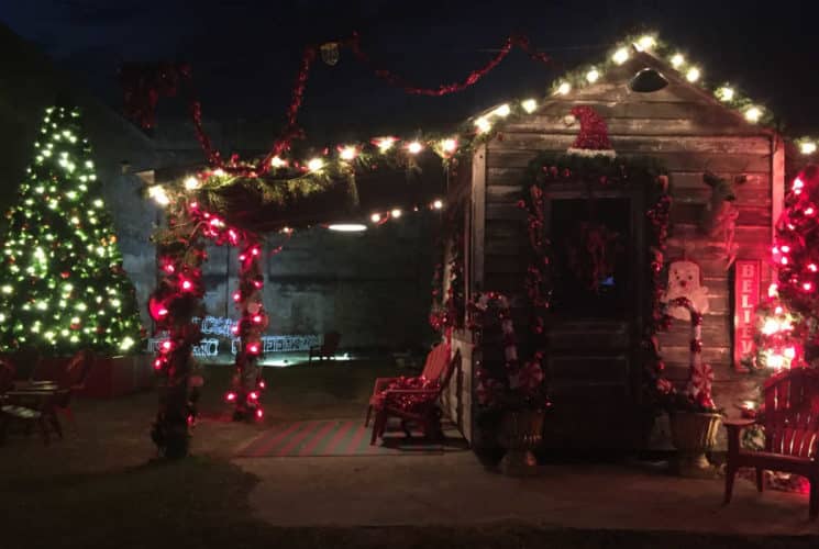 decorated tree and old shack with red lights at night