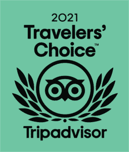 Green tripadvisor award with owl eyes and wings