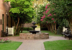 fountain in a courtyard with pink flowered trees 